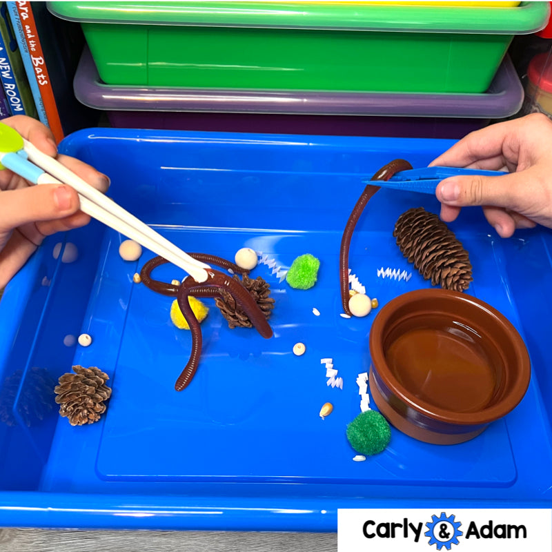 Bird Beaks 3rd Grade STEM Activity NGSS Life Science 3-LS4-3 — preview 6