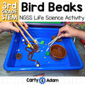 Bird Beaks 3rd Grade STEM Activity NGSS Life Science 3-LS4-3 — preview 1