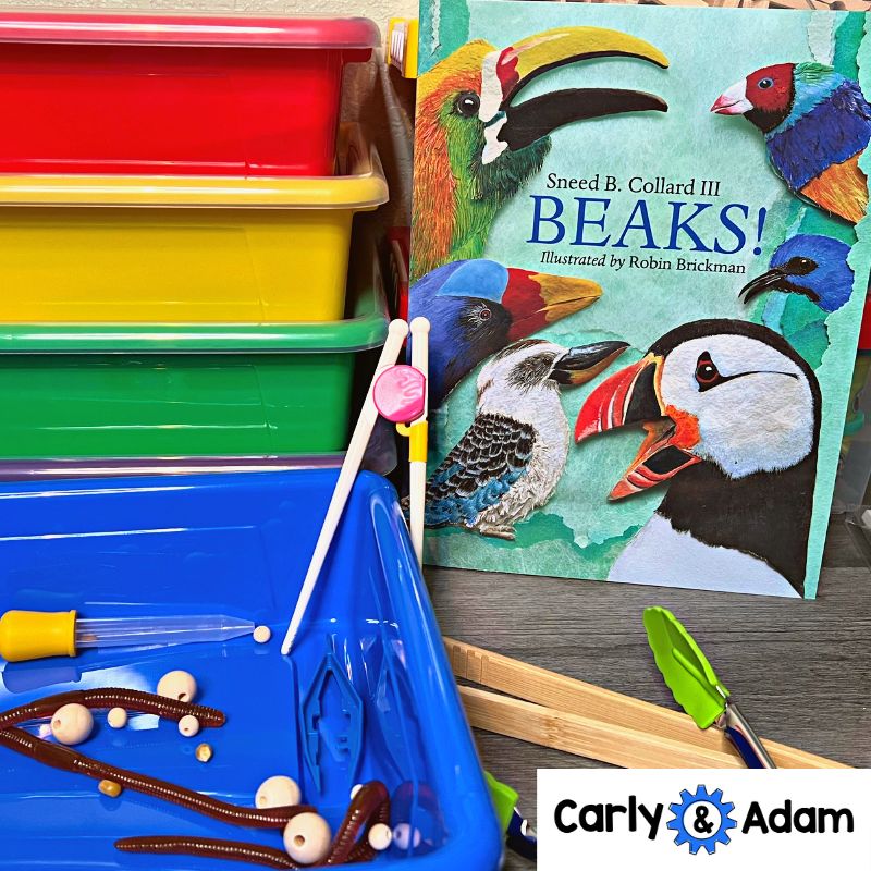 Bird Beaks 3rd Grade STEM Activity NGSS Life Science 3-LS4-3 — preview 10