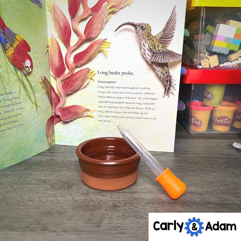 Bird Beaks 3rd Grade STEM Activity NGSS Life Science 3-LS4-3 — preview 11
