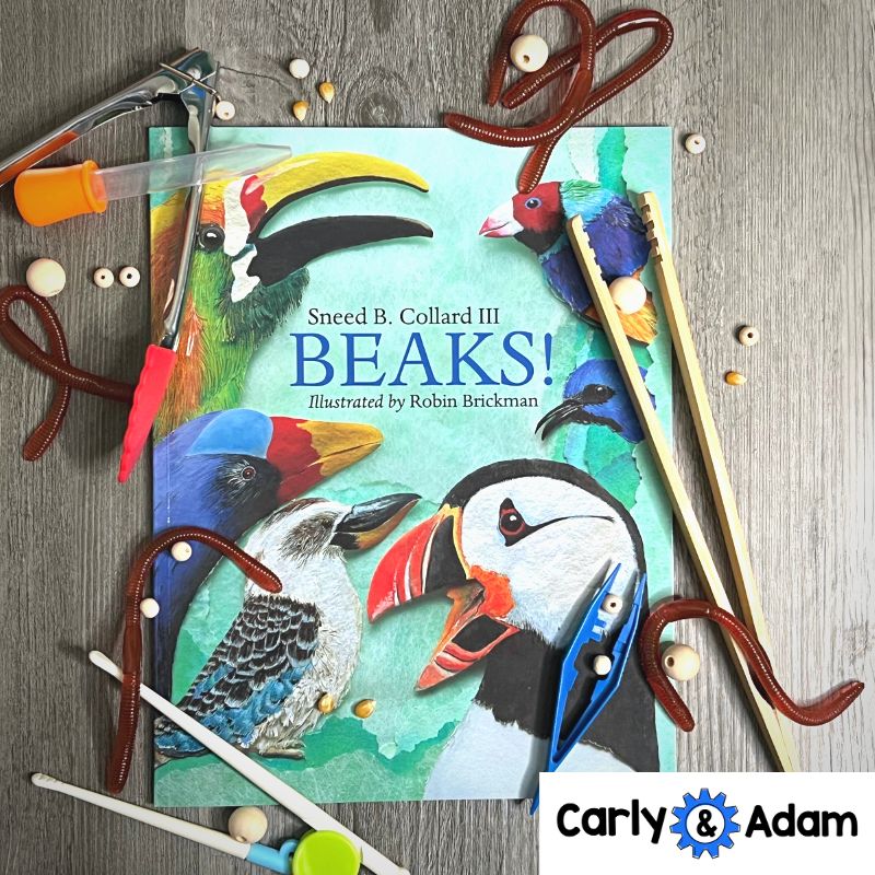 Bird Beaks 3rd Grade STEM Activity NGSS Life Science 3-LS4-3 — preview 12