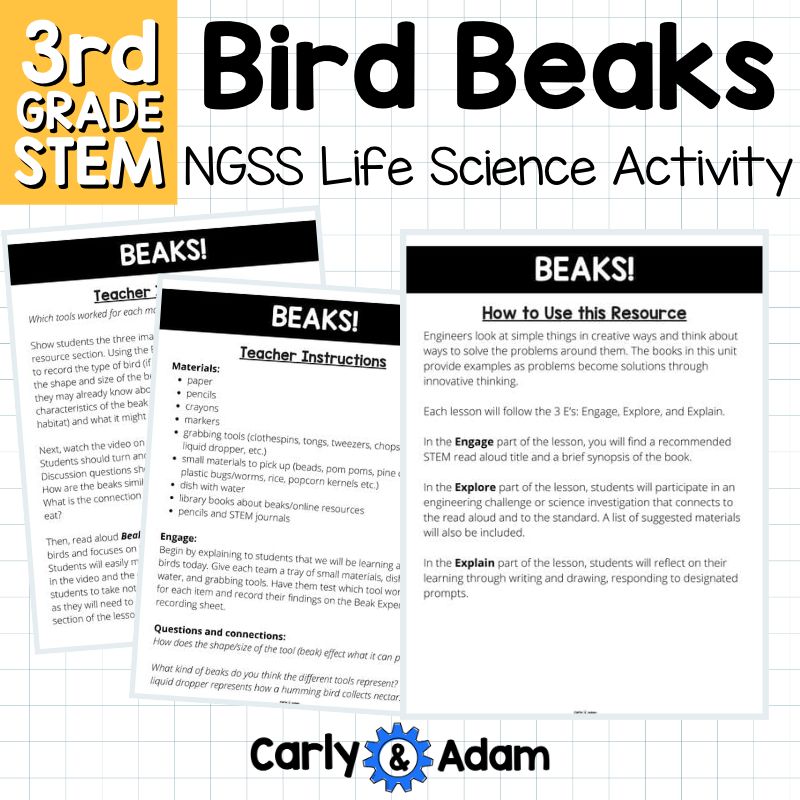 Bird Beaks 3rd Grade STEM Activity NGSS Life Science 3-LS4-3 — preview 16