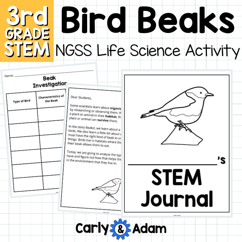 Bird Beaks 3rd Grade STEM Activity NGSS Life Science 3-LS4-3 — preview 18