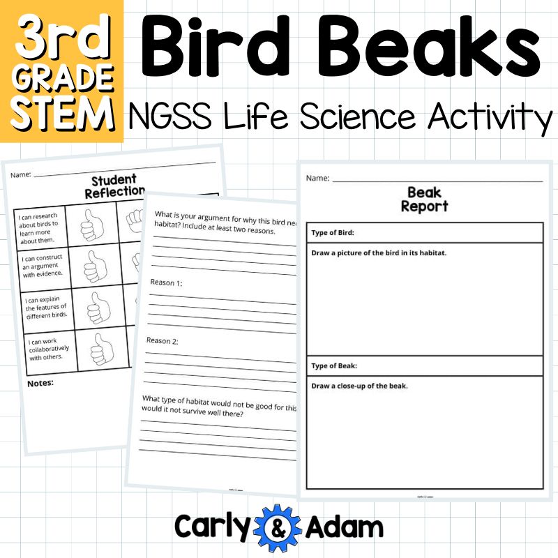 Bird Beaks 3rd Grade STEM Activity NGSS Life Science 3-LS4-3 — preview 19