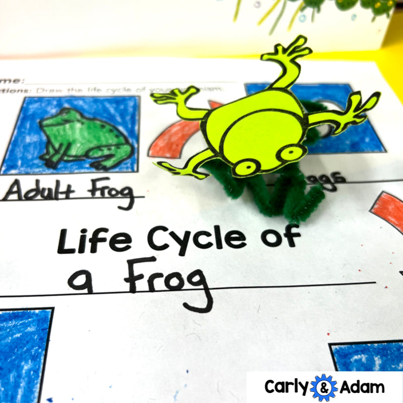 999 Tadpoles 3rd Grade NGSS Animal Life Cycles STEM Activity — preview 2