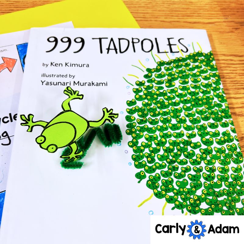 999 Tadpoles 3rd Grade NGSS Animal Life Cycles STEM Activity — preview 6