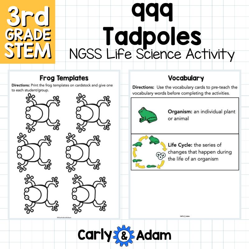 999 Tadpoles 3rd Grade NGSS Animal Life Cycles STEM Activity — preview 8