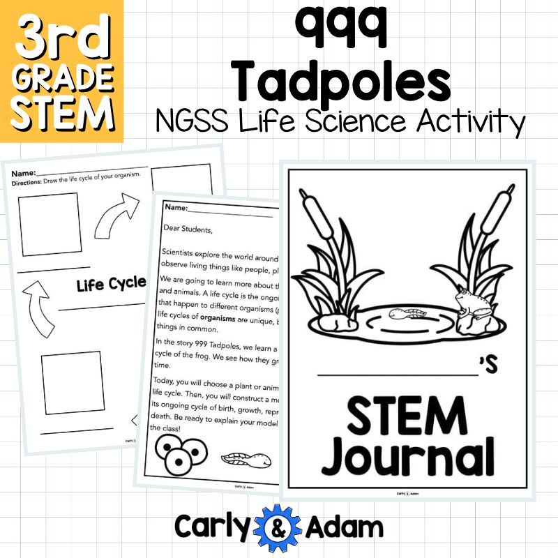 999 Tadpoles 3rd Grade NGSS Animal Life Cycles STEM Activity — preview 9