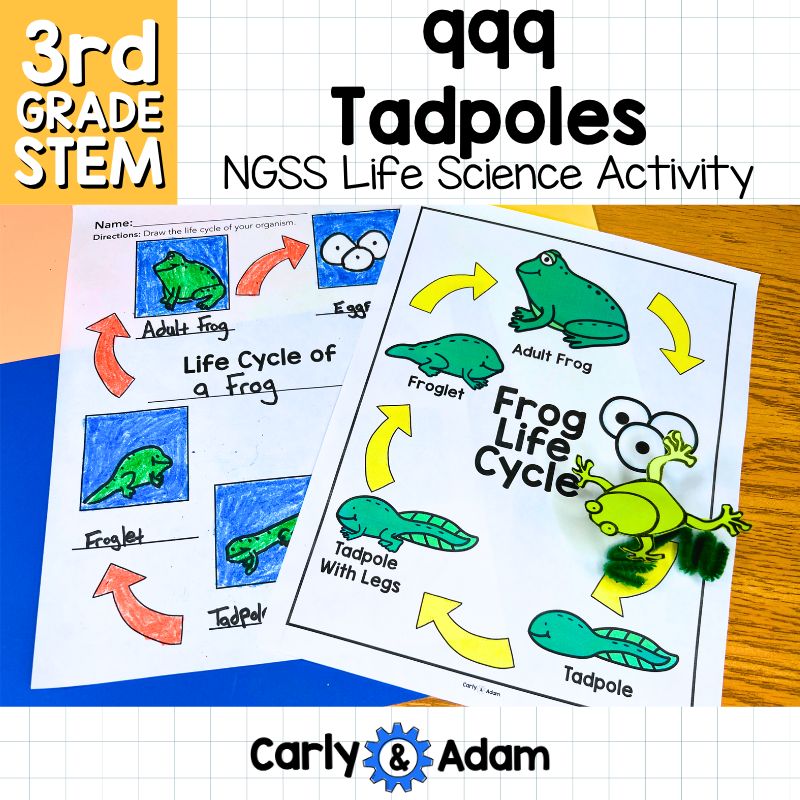 999 Tadpoles 3rd Grade NGSS Animal Life Cycles STEM Activity — preview 1