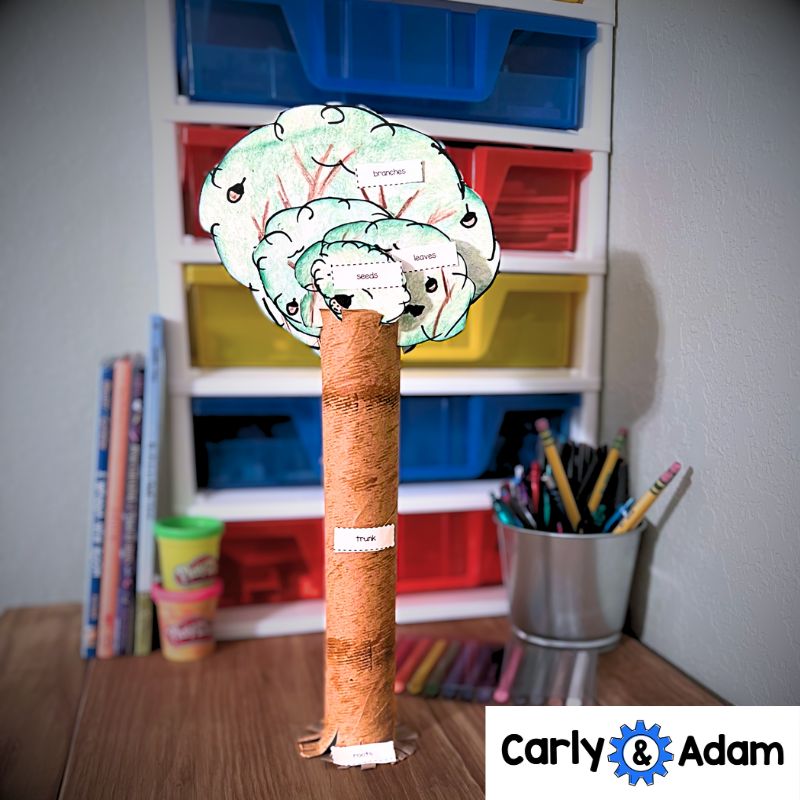 My Life as an Oak Tree Read Aloud STEM Challenge - Tree Life Cycle (Arbor Day) — preview 5
