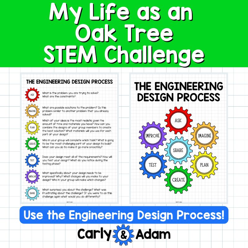 My Life as an Oak Tree Read Aloud STEM Challenge - Tree Life Cycle (Arbor Day) — preview 6