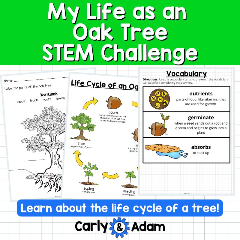 My Life as an Oak Tree Read Aloud STEM Challenge - Tree Life Cycle (Arbor Day) — preview 8