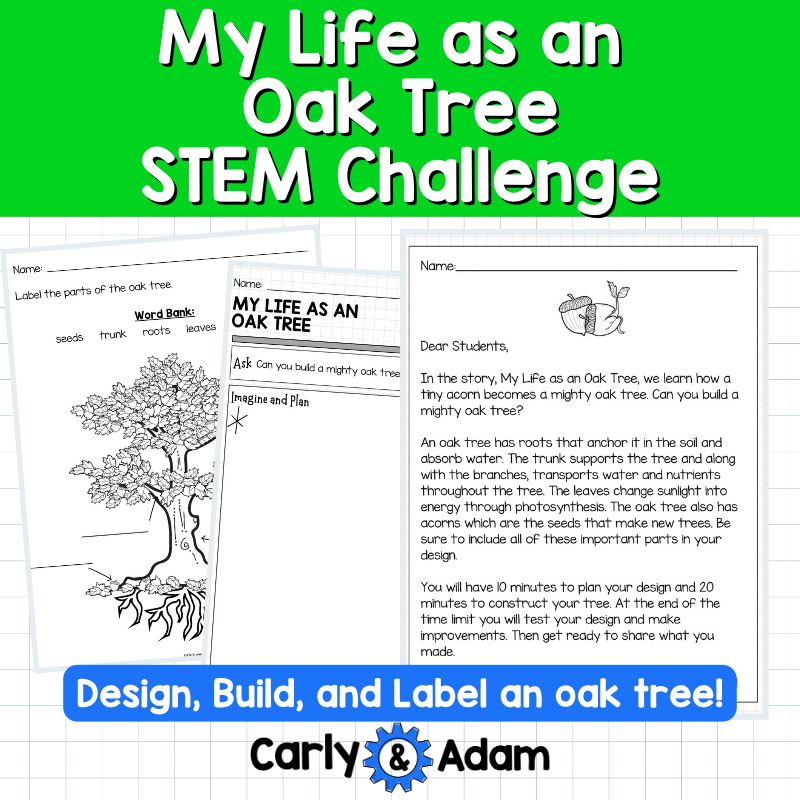My Life as an Oak Tree Read Aloud STEM Challenge - Tree Life Cycle (Arbor Day) — preview 9