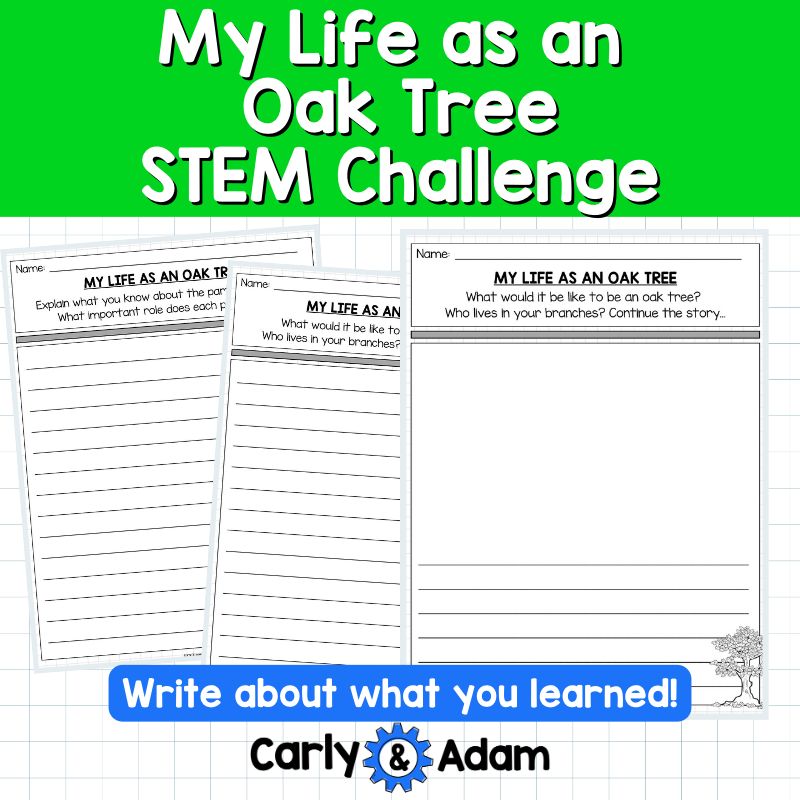 My Life as an Oak Tree Read Aloud STEM Challenge - Tree Life Cycle (Arbor Day) — preview 10