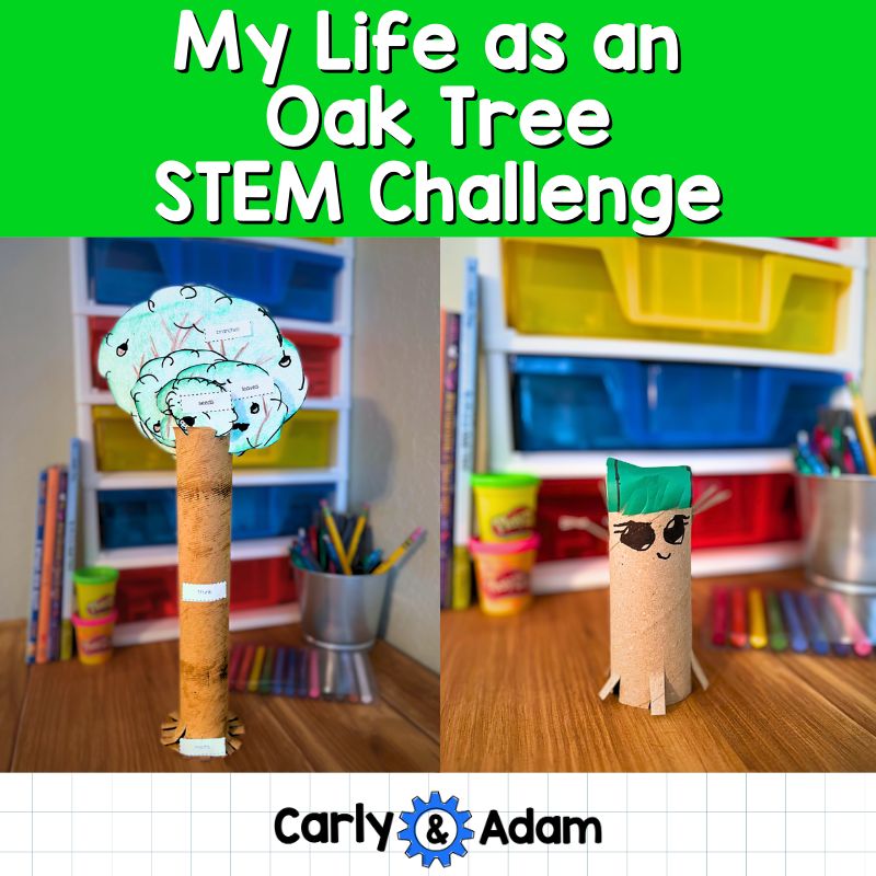 My Life as an Oak Tree Read Aloud STEM Challenge - Tree Life Cycle (Arbor Day) — preview 1