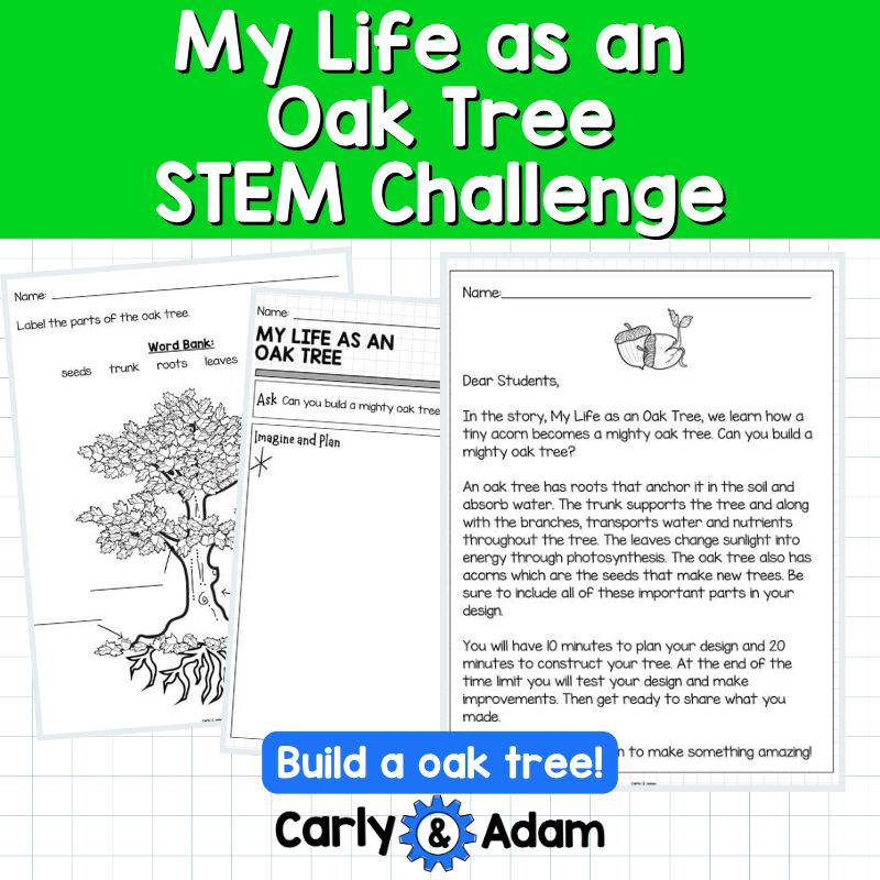 My Life as an Oak Tree Read Aloud STEM Challenge - Tree Life Cycle (Arbor Day) — preview 13