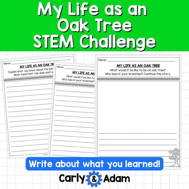 My Life as an Oak Tree Read Aloud STEM Challenge - Tree Life Cycle (Arbor Day) — preview 14