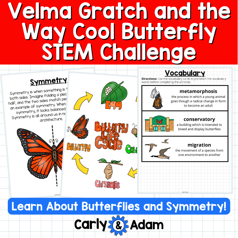 Velma Gratch Butterfly Life Cycle STEM Activities and Challenges with Symmetry — preview 3