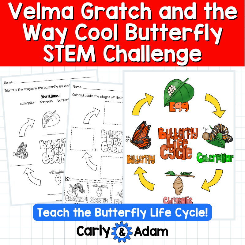 Velma Gratch Butterfly Life Cycle STEM Activities and Challenges with Symmetry — preview 5