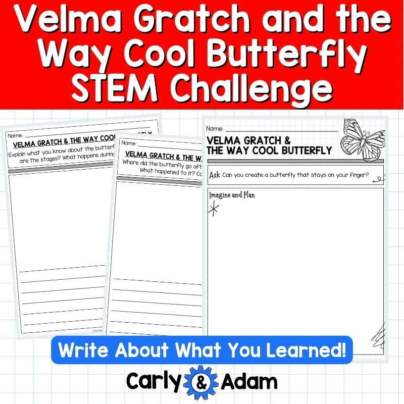 Velma Gratch Butterfly Life Cycle STEM Activities and Challenges with Symmetry — preview 6