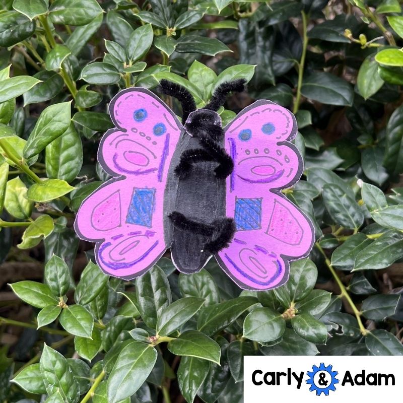 Velma Gratch Butterfly Life Cycle STEM Activities and Challenges with Symmetry — preview 11