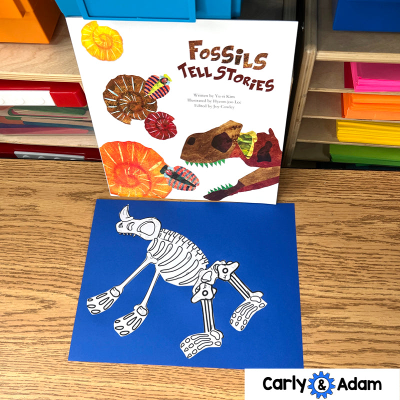 Fossils Tell Stories 3rd Grade Science Lesson NGSS Aligned — preview 4