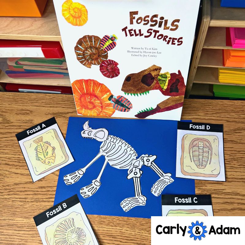 Fossils Tell Stories 3rd Grade Science Lesson NGSS Aligned — preview 5