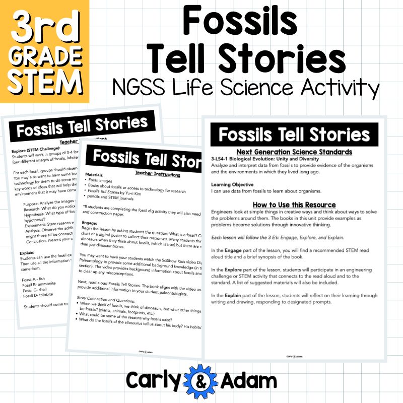 Fossils Tell Stories 3rd Grade Science Lesson NGSS Aligned — preview 7