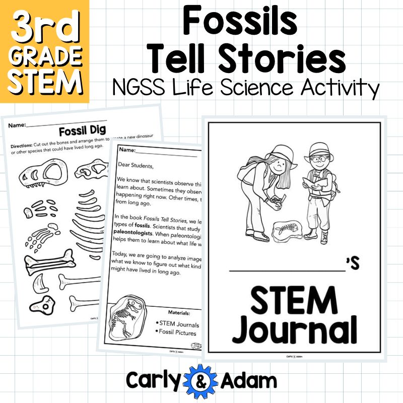 Fossils Tell Stories 3rd Grade Science Lesson NGSS Aligned — preview 9