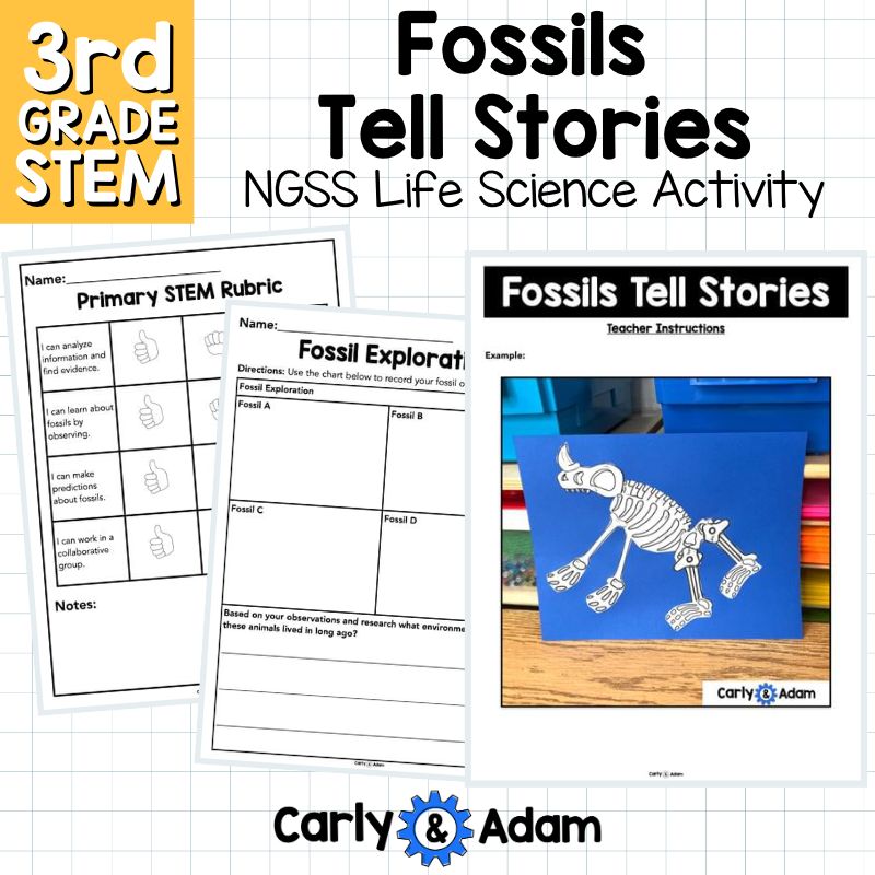 Fossils Tell Stories 3rd Grade Science Lesson NGSS Aligned — preview 10