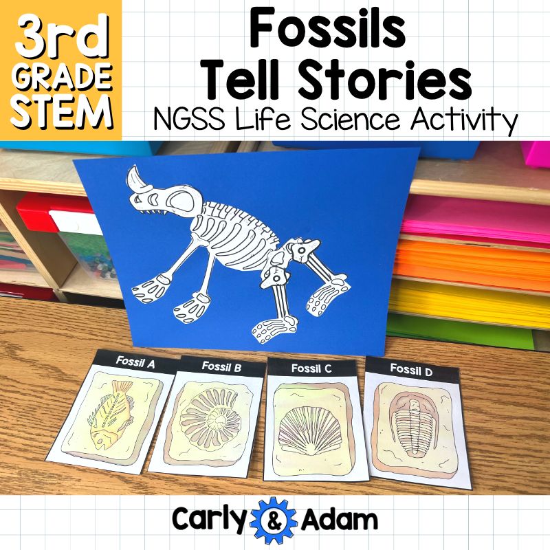 Fossils Tell Stories 3rd Grade Science Lesson NGSS Aligned — preview 1