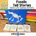 Fossils Tell Stories 3rd Grade Science Lesson NGSS Aligned — preview 1