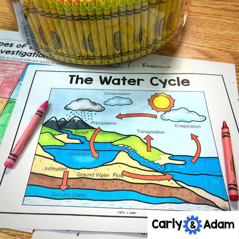 2nd Grade Water Cycle Science Activity — preview 3