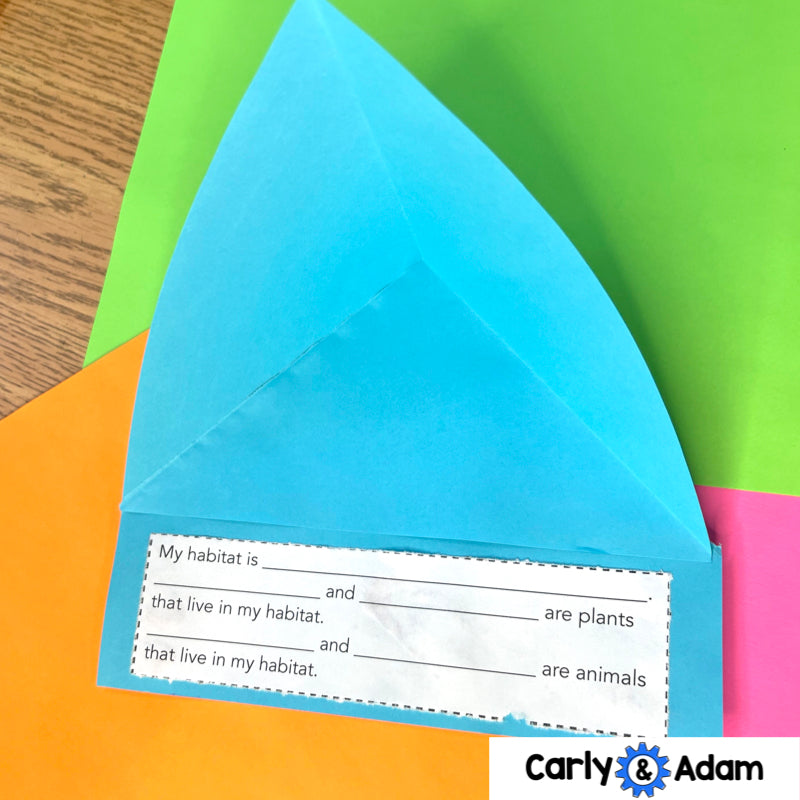 Build a Habitat Triorama 2nd Grade STEM Challenge — preview 6