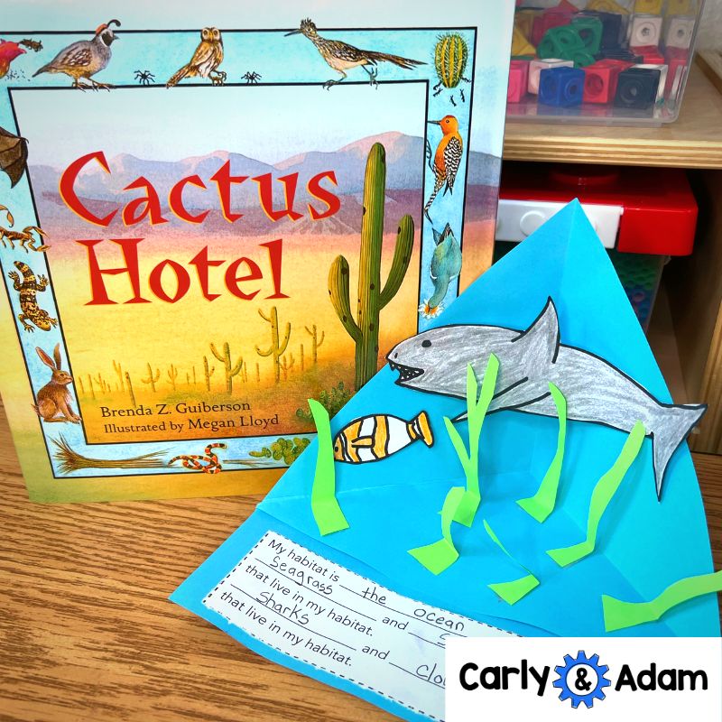 Build a Habitat Triorama 2nd Grade STEM Challenge — preview 9