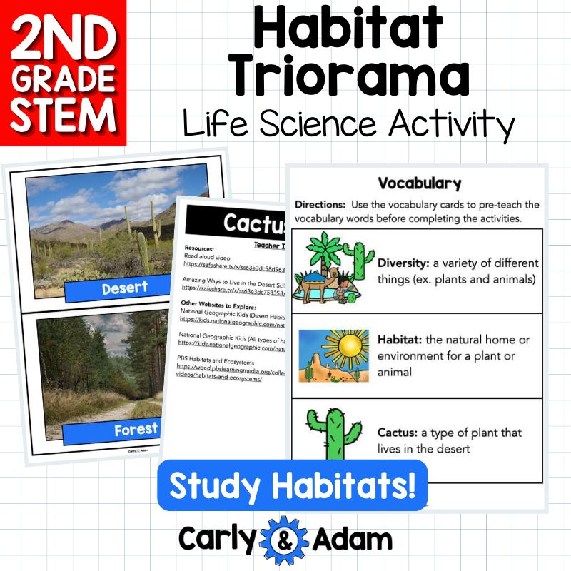 Build a Habitat Triorama 2nd Grade STEM Challenge — preview 10