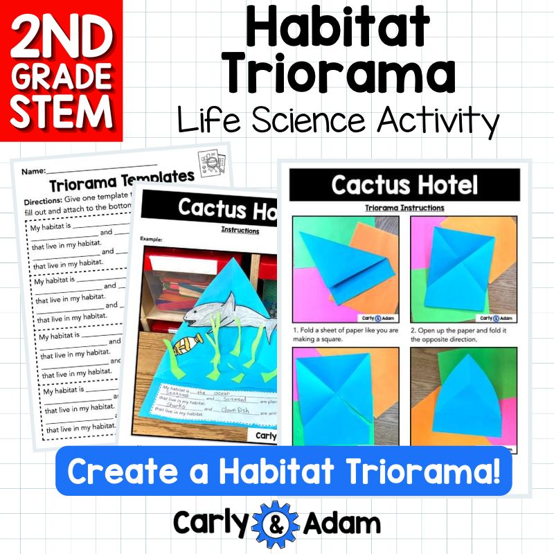 Build a Habitat Triorama 2nd Grade STEM Challenge — preview 11