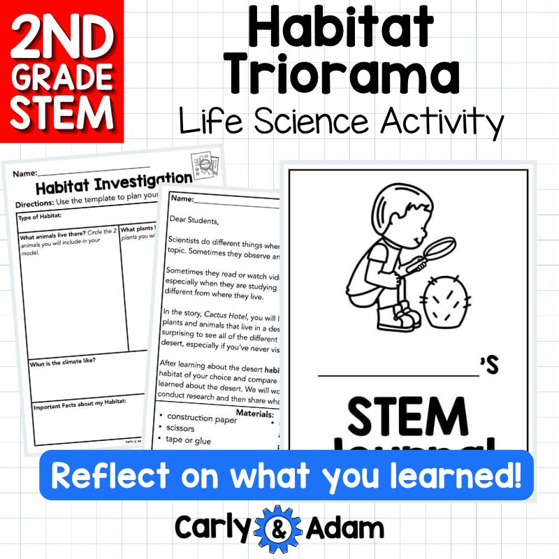Build a Habitat Triorama 2nd Grade STEM Challenge — preview 12
