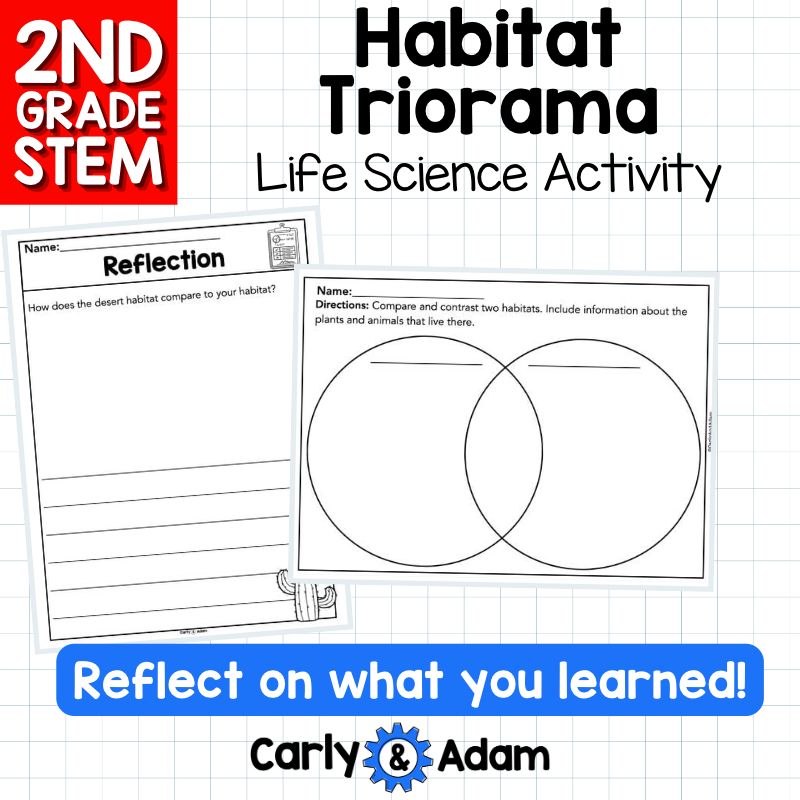 Build a Habitat Triorama 2nd Grade STEM Challenge — preview 13