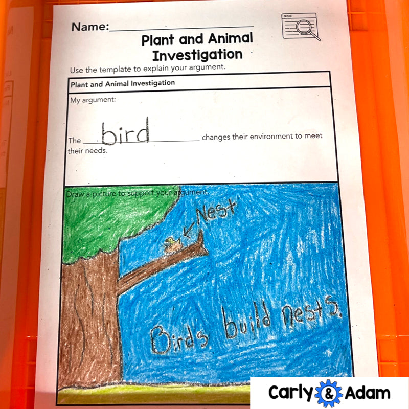 Animal Architects Kindergarten Science Lesson STEM Activity — preview 2