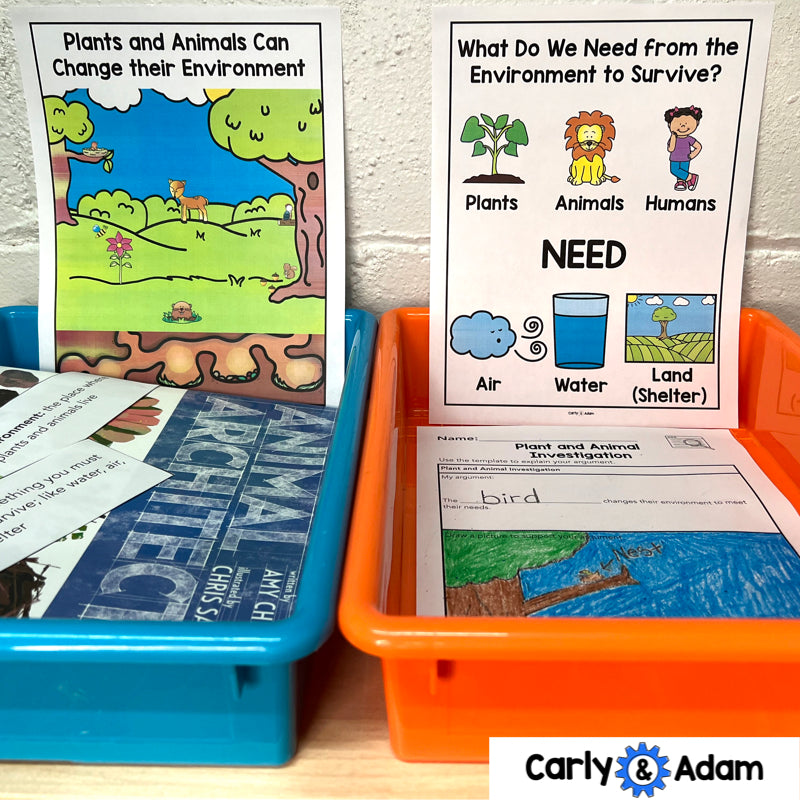 Animal Architects Kindergarten Science Lesson STEM Activity — preview 4