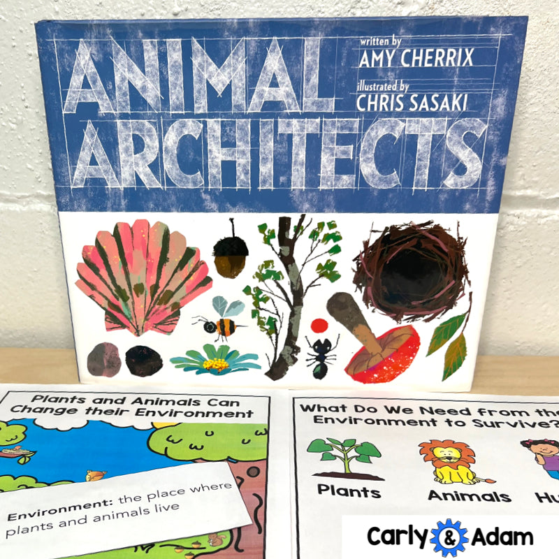 Animal Architects Kindergarten Science Lesson STEM Activity — preview 5