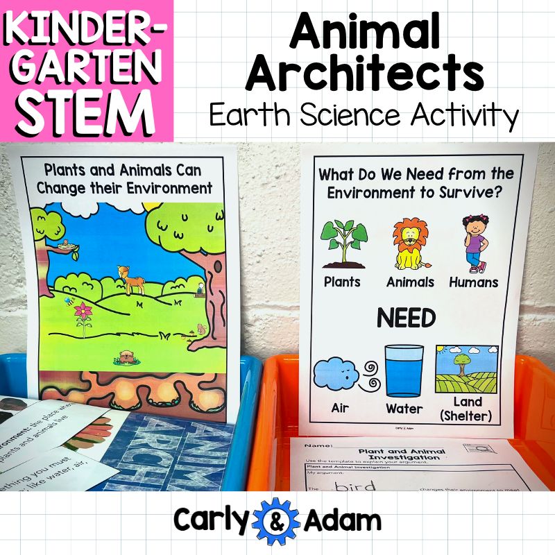 Animal Architects Kindergarten Science Lesson STEM Activity — preview 1
