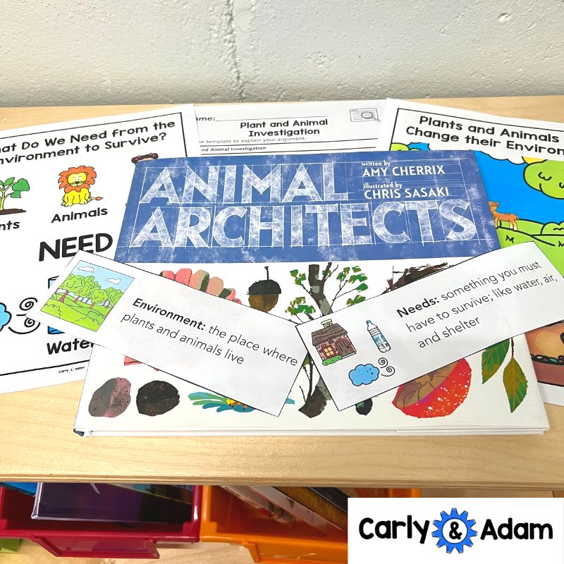 Animal Architects Kindergarten Science Lesson STEM Activity — preview 6