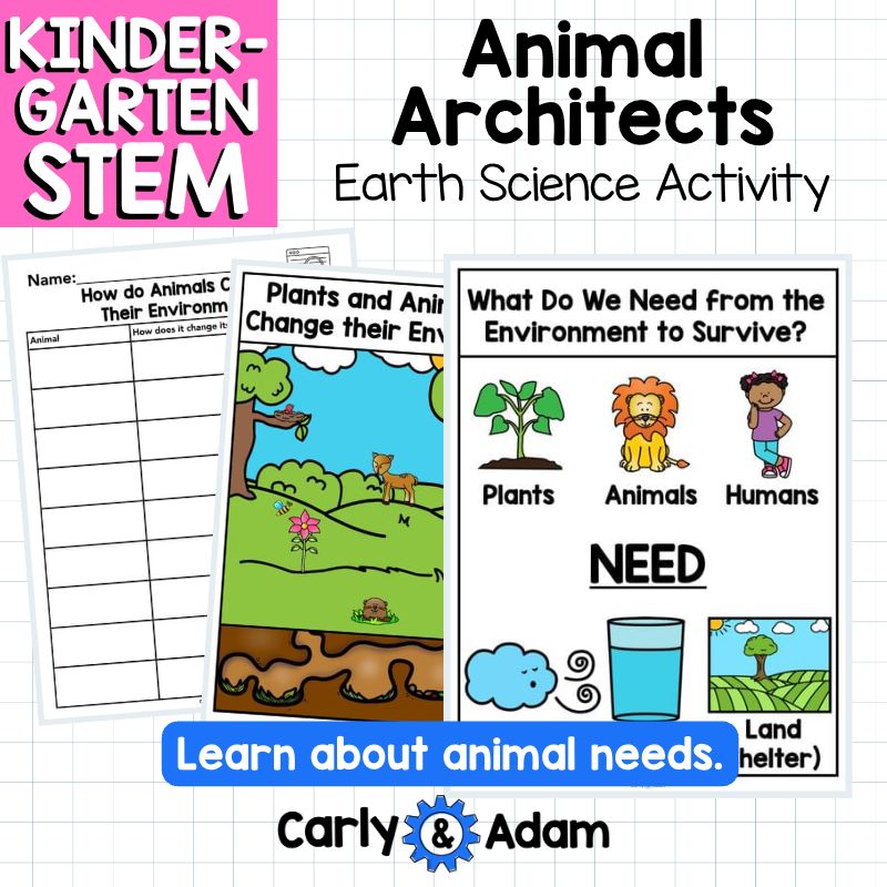 Animal Architects Kindergarten Science Lesson STEM Activity — preview 7