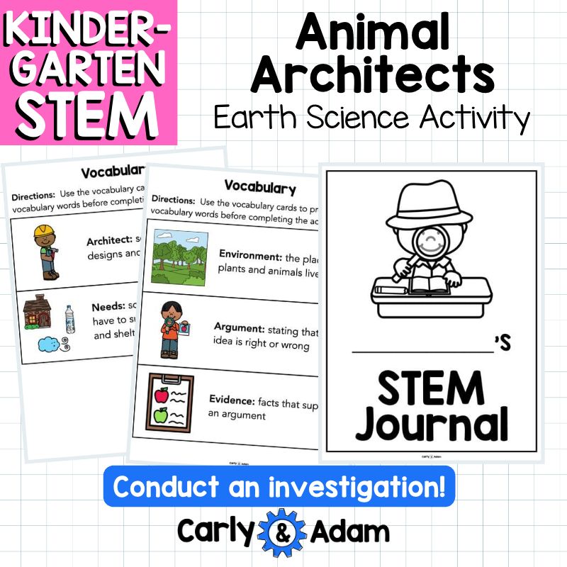 Animal Architects Kindergarten Science Lesson STEM Activity — preview 8