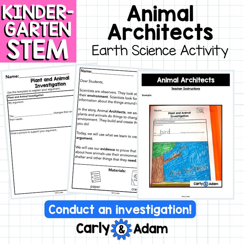 Animal Architects Kindergarten Science Lesson STEM Activity — preview 9