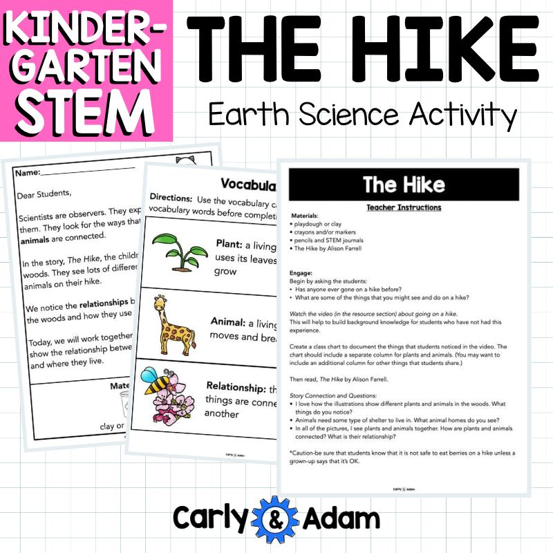 Kindergarten Science Lesson: Plants, Animals, and Environment STEM Activity — preview 7