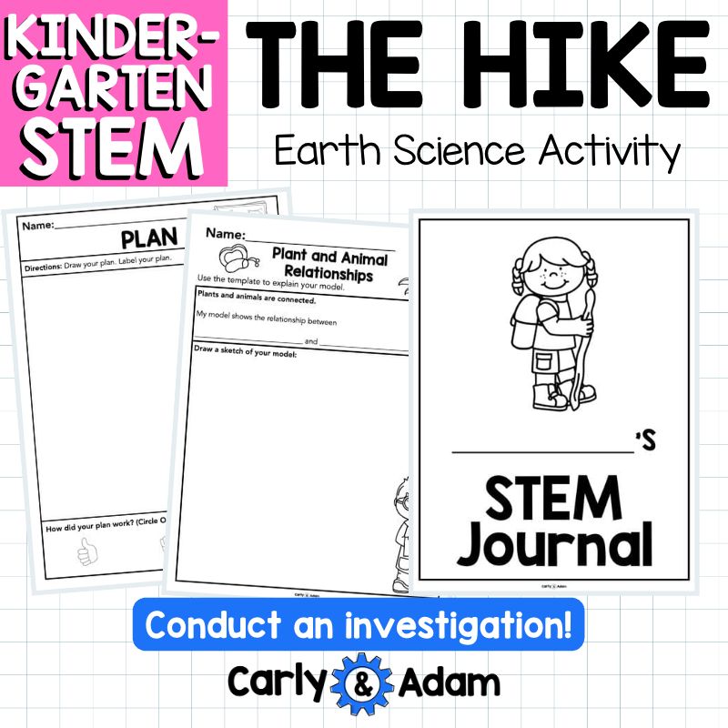 Kindergarten Science Lesson: Plants, Animals, and Environment STEM Activity — preview 8