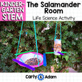 Kindergarten Science Lesson Build a Bird Feeder STEM Activity — preview 1
